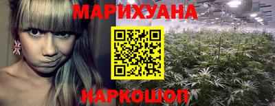 jwh Тула